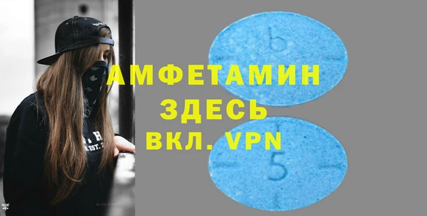 ALPHA PVP Каменка