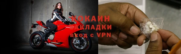 дживик Каменск-Шахтинский