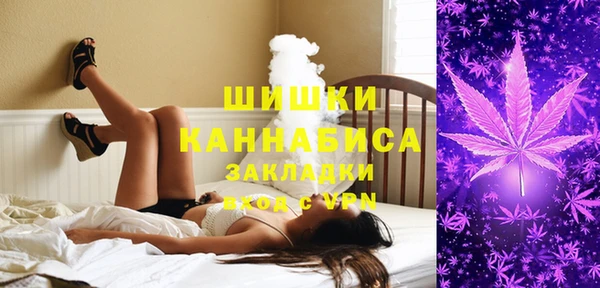 дживик Каменск-Шахтинский