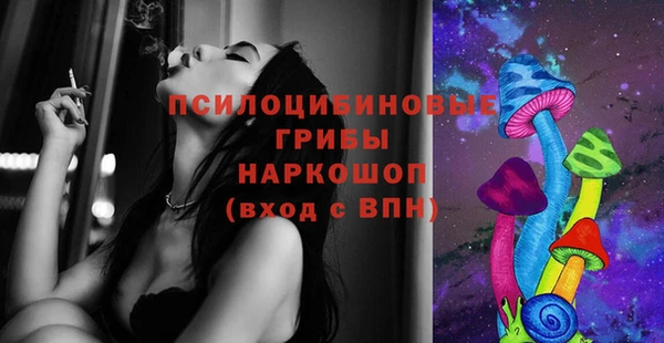 дживик Каменск-Шахтинский